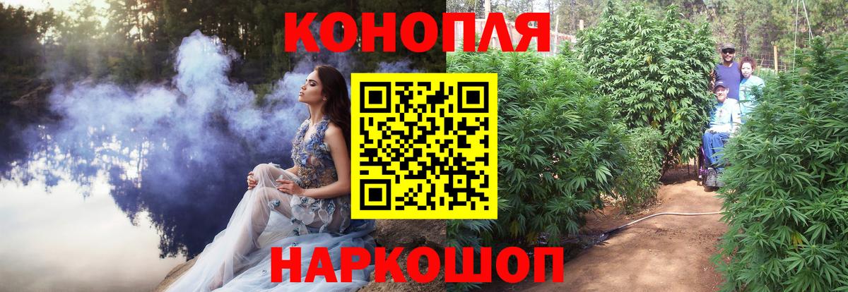 Бошки Шишки гибрид Рыбинск